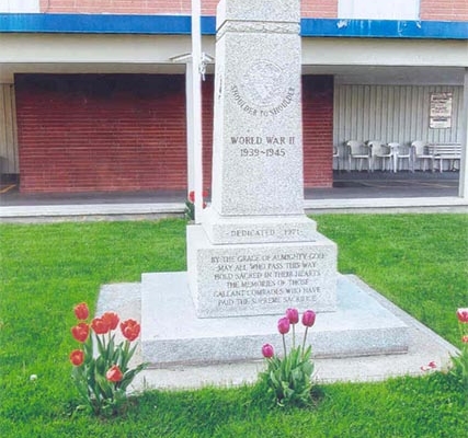 tulips-at-cenotaph